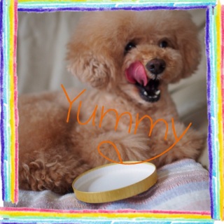 ��b���͂��ށ�C