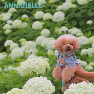 ���������A