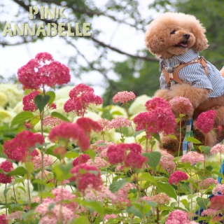 ���������B