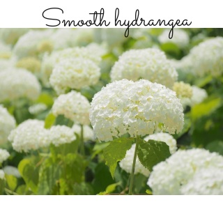 ���������D