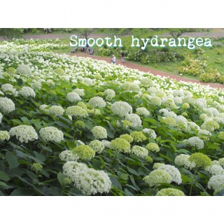 ���������E