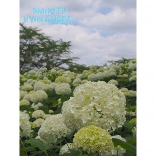 ���������F