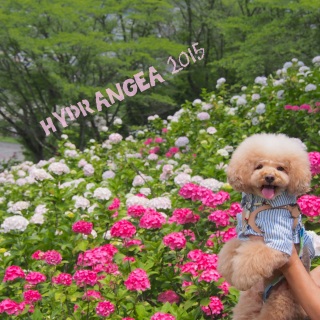 ���������H