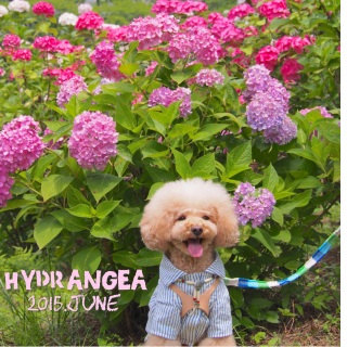 ���������I