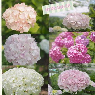 ��������11