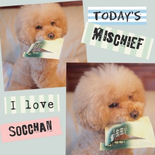 �����́�