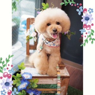 ���킢�q�����♡