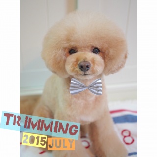 ���킢�q�����B