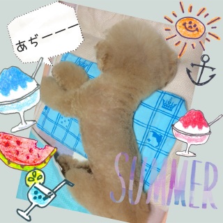 �����[�[�[��