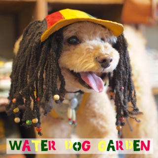 ���Q�G��