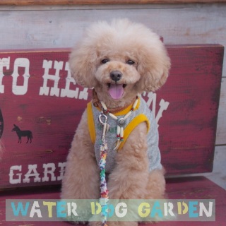 �v�Z�����A�C�h������