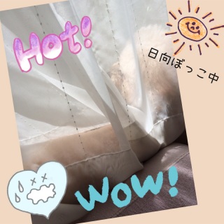 �����[�[�[(���l��;)