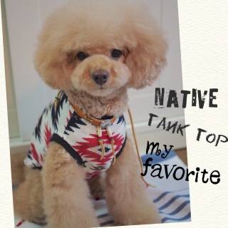 ���j���[��