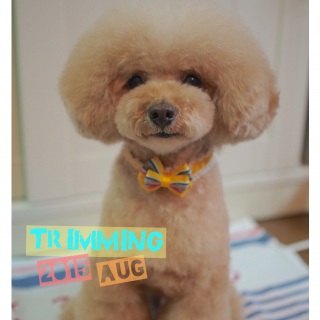 �g���~���O�A