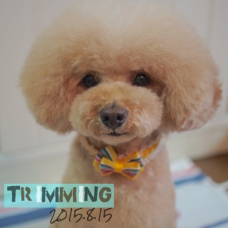 �g���~���O�B