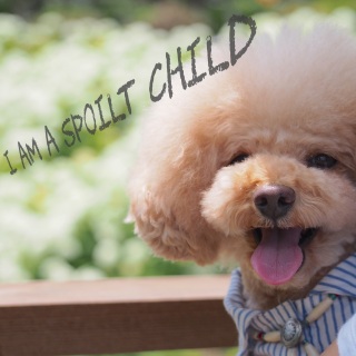 ��������♡