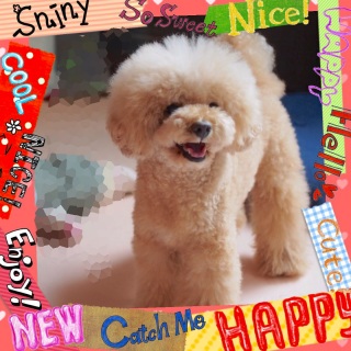 ���`���Ⴂ�c�i�΁j