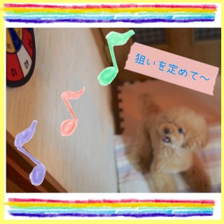 �J�̓��̂��V�т�