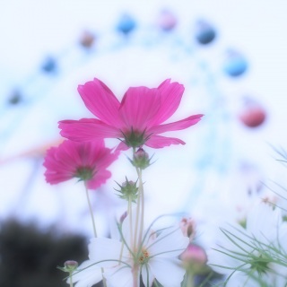 �y�j����