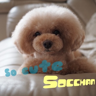 ��������Ȃ�