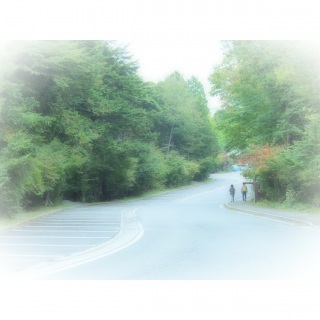 �}�C�i�X�C�I��