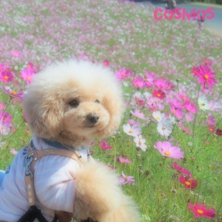 �R�X���X����♡�A