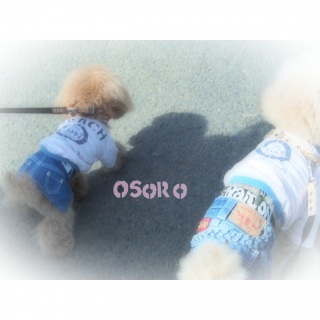 ���̓���