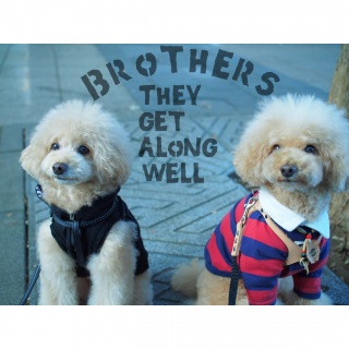 ���Ђ��`��