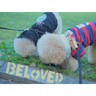 �N���N��