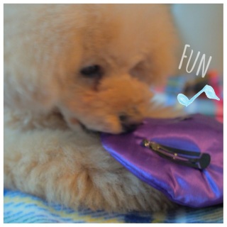 �n���E�B����