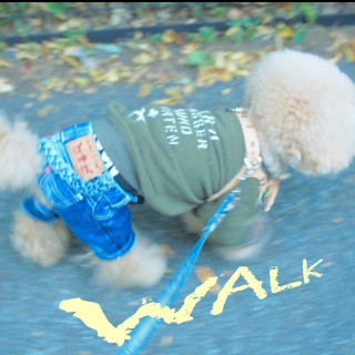 ������