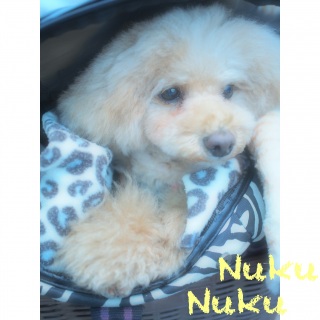 �T���K���[�^