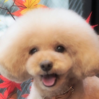 �W���b�N����