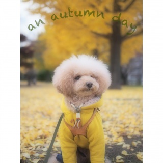 ��������������c