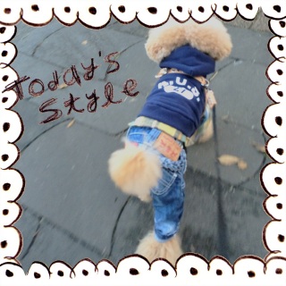 ���̓���