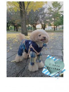 �S�z���Ă�