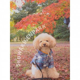 �M�������[��