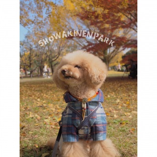 �����Ă�