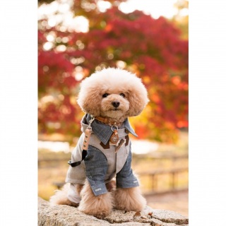 �������邼�[�I