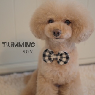 11���̃g���~���O�@