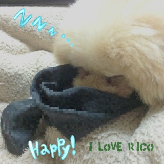 �f�W��������Ȃ���