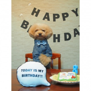 ���a����♡