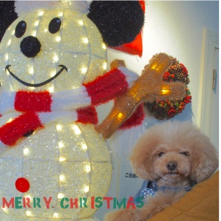 �����[�N���X�}�X�I