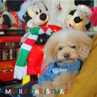 �����[�N���X�}�X��