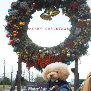 �����N����