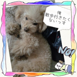 ������