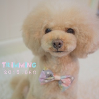 ���N�Ō��