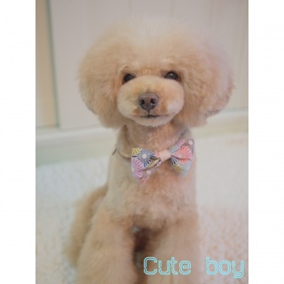 �����{����