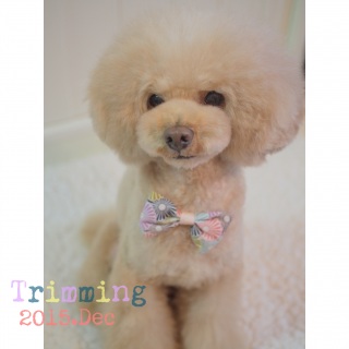 �ʂ��n�߂�