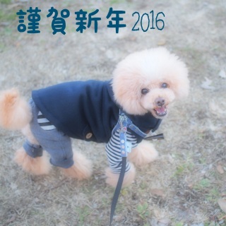 �������߁`��